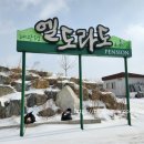 대관령농협주유소 이미지