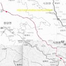 우듬지 이미지