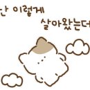 베러데이 이미지