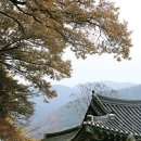 운치 있는 가을 여행지④ 전북 전주 한옥마을 이미지