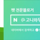 도그베이 동탄호수공원점 이미지