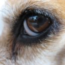 대화헬스케어 이미지