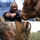 워낭소리 이미지