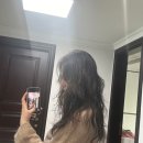 릴라 바바라 이미지