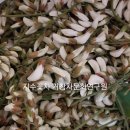 (사)경남문화연구원 이미지