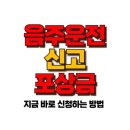 음주운전 신고 포상금 최대 10만 원 지급? 포상금 제도의 비밀 이미지