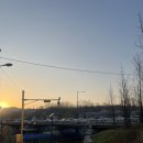 양재시민의숲역 4~5번출구 | 서울 벚꽃 명소 양재천 실시간 인생샷 장소 공유 야경 꿀팁