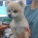 가능하주약국 이미지