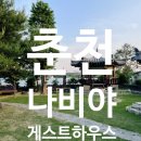 나무게스트하우스 | 내돈내산 춘천 레고랜드 숙소 추천, 나비야 게스트하우스 후기