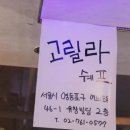 고릴라쉐프 이미지