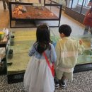 키워주세요 | 화성 동물체험카페 찾는다면? 화성키워볼래 솔직후기