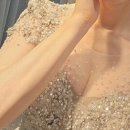 보니소네트 이미지