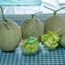 왕인농장 | [전라남도 영암군] 야미야미팜(야미야미팜농업회사법인(주))