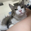 날데려가개 | 아지랑이 몰려와 어디든 데려가줄래