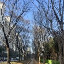 온책읽기 독서회 이미지