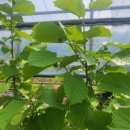 초입농장 이미지