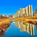 프로미월드 청주 상당점 | 청주 동남지구 대형카페 투닷츠 로스터즈 청주점 애견동반카페