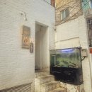 강남 압구정 복어전문점 [후쿠짱] 도산점 솔직 방문후기,히레사케,닷사이45