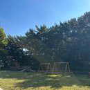 태안슈퍼 | 태안 안면도 대야도 여행 하늘분교카페 &amp; 하늘분교펜션 감성 명소 후기