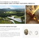 전곡선사박물관 이미지