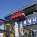 고령차유리 이미지