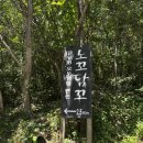 캠핑/펜션]경주 가볼만한 캠핑장 노꼬담꼬 데크 D2 사이트 이용후기 명당자리 추천 예약방법 링크 첨부