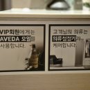 삼송 | 삼송 마사지 진심을다한 마사지 스파 삼송점 솔직 후기