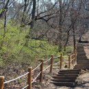 대전화정초교 이미지