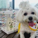 해피멍쓰데이 이미지