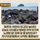 제주파도소리와 돌공원 | 제주 서귀포 자구리공원 물놀이 후기, 게 잡고 보말 줍고 물총놀이까지 신난 하루