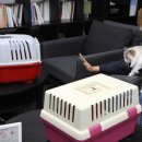 백산동물병원 이미지