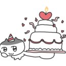스테이시호일 이미지