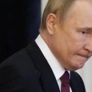 막심이네-수입 이미지