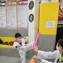 용인대호반태권도 이미지