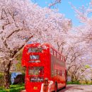 물금1길 이미지