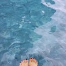 오무께풀빌라 | 푸켓 자유여행으로 다녀온 경비 총정리!(공항유심/ 풀빌라숙소 / 스쿠버다이빙)