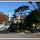 국화축제장 입구 이미지
