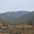 화흥초등학교 이미지