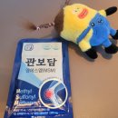 MSM | 한삼인 관보담 MSM 효능 후기｜초기 관절염 관리 관절 영양제 추천