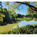 장자호수생태공원 이미지