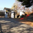 야탑로245번길 이미지