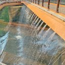 의림지-06 이미지