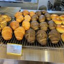 순한쌀빵빵순 이미지