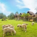 정우농장2 이미지