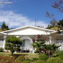 꽃섬나드리 이미지