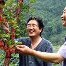 귀농귀촌 사례 - 산골 촌지기와 더불어 사는 생태농장 이미지