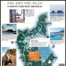 솔향기환경 이미지