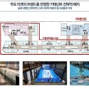 보니타가