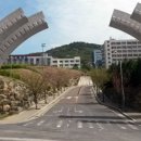 황령산 벚꽃약수터 네이버블로그