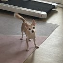 괌 자유여행 일기 ① (10월 초 우기, 일정표 및 준비물)